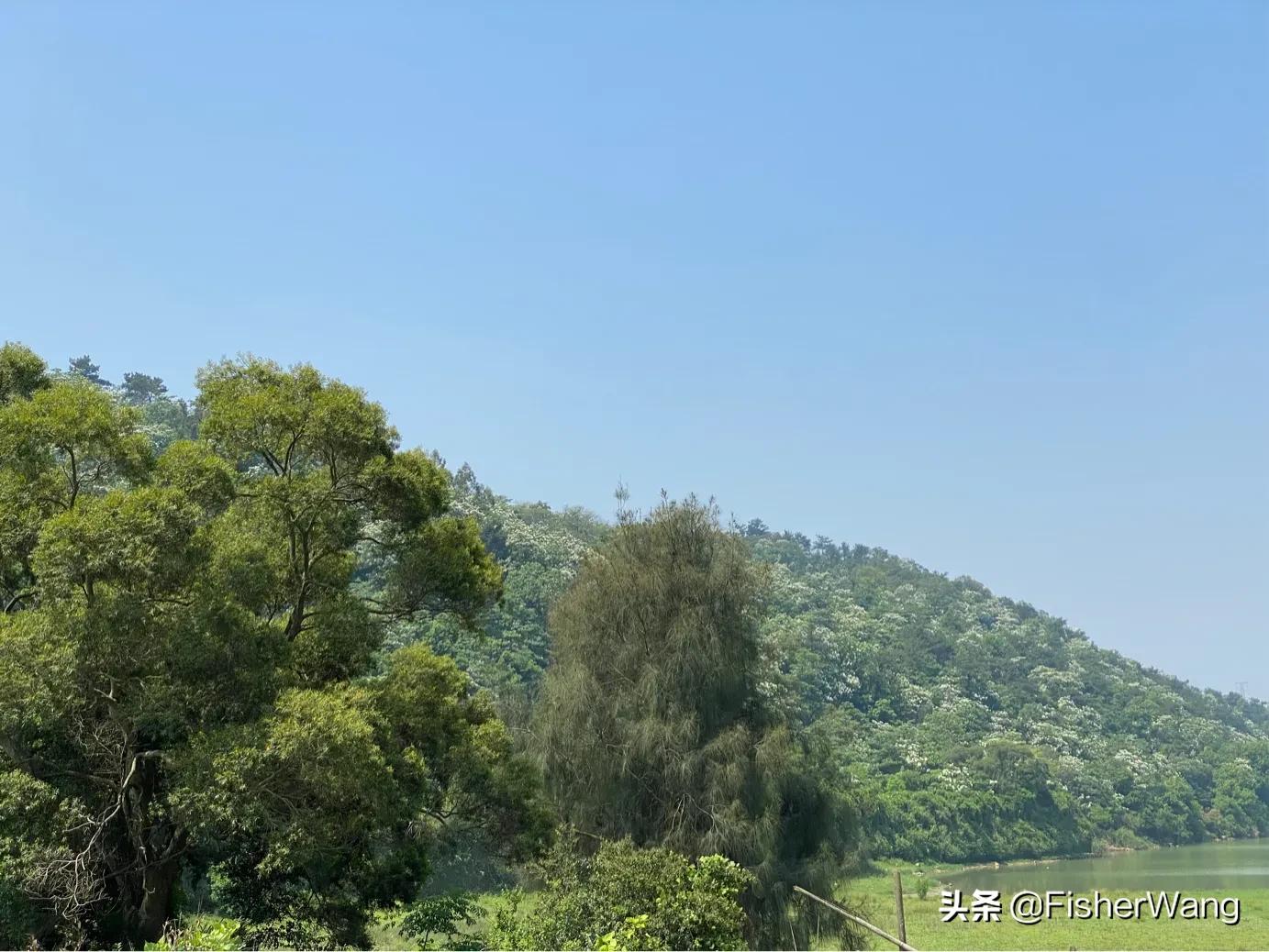 中毒or中暑，36度高温带两女生徒步，中道而退之登云-恩顶水库。