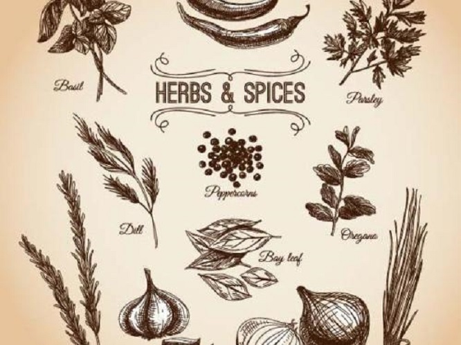 欧洲香料的历史,欧洲特色香料是什么