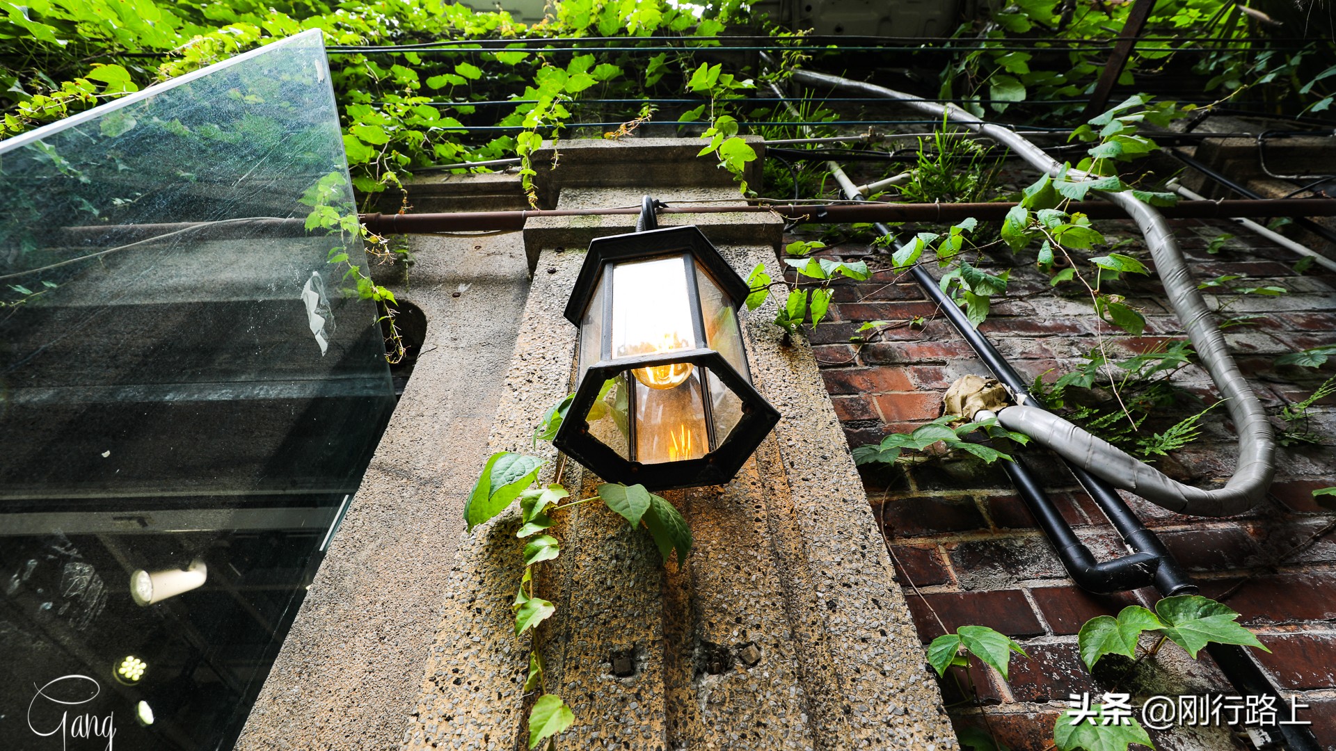 上海拍照打卡地,上海田子坊旅游最佳攻略选择