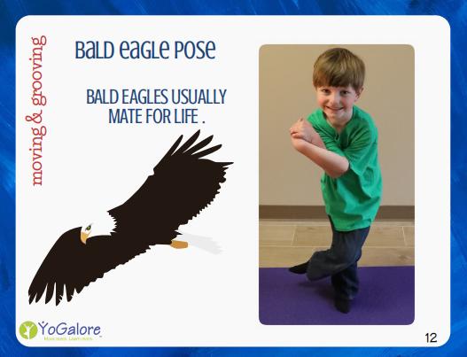 卡尔和爷爷,瑜伽卡和健身卡哪个好