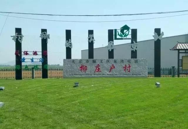 顺义大芦苇荡樱桃采摘园,顺义五大樱桃园