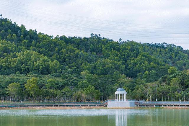 深圳游玩好去处攻略,深圳7个自驾游免费好去处推荐