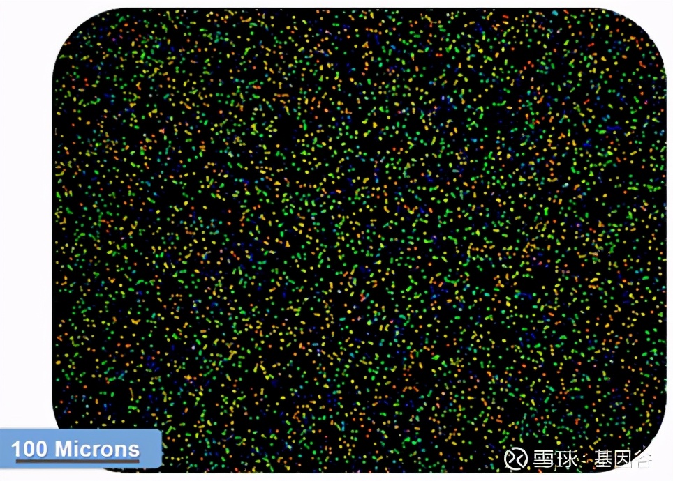 全场硬菜！分子诊断技术全解析