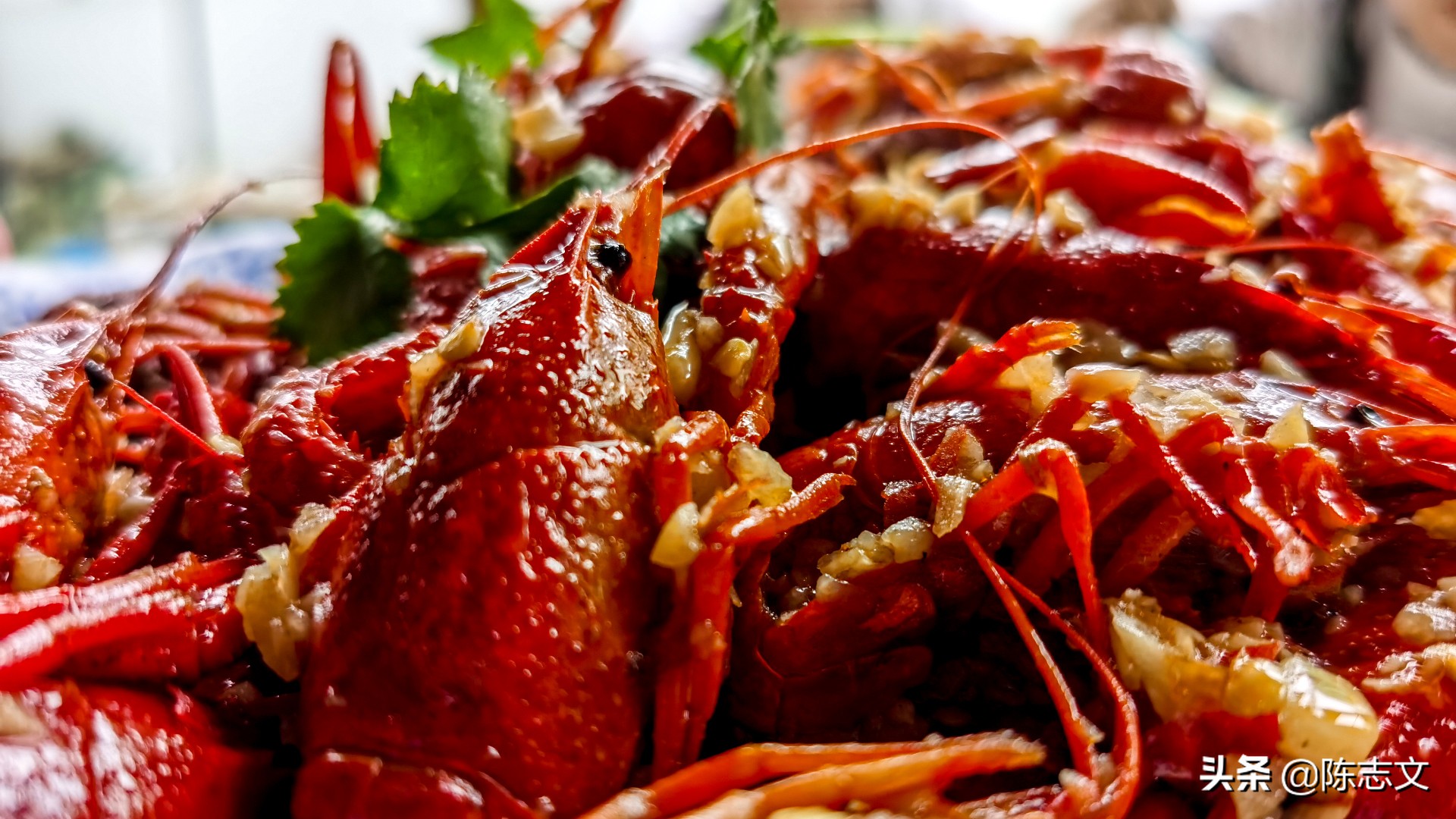 苏州有一座单独的山,苏州有座佛的山