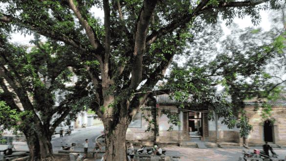 大安古镇闹市,大安古镇的地址