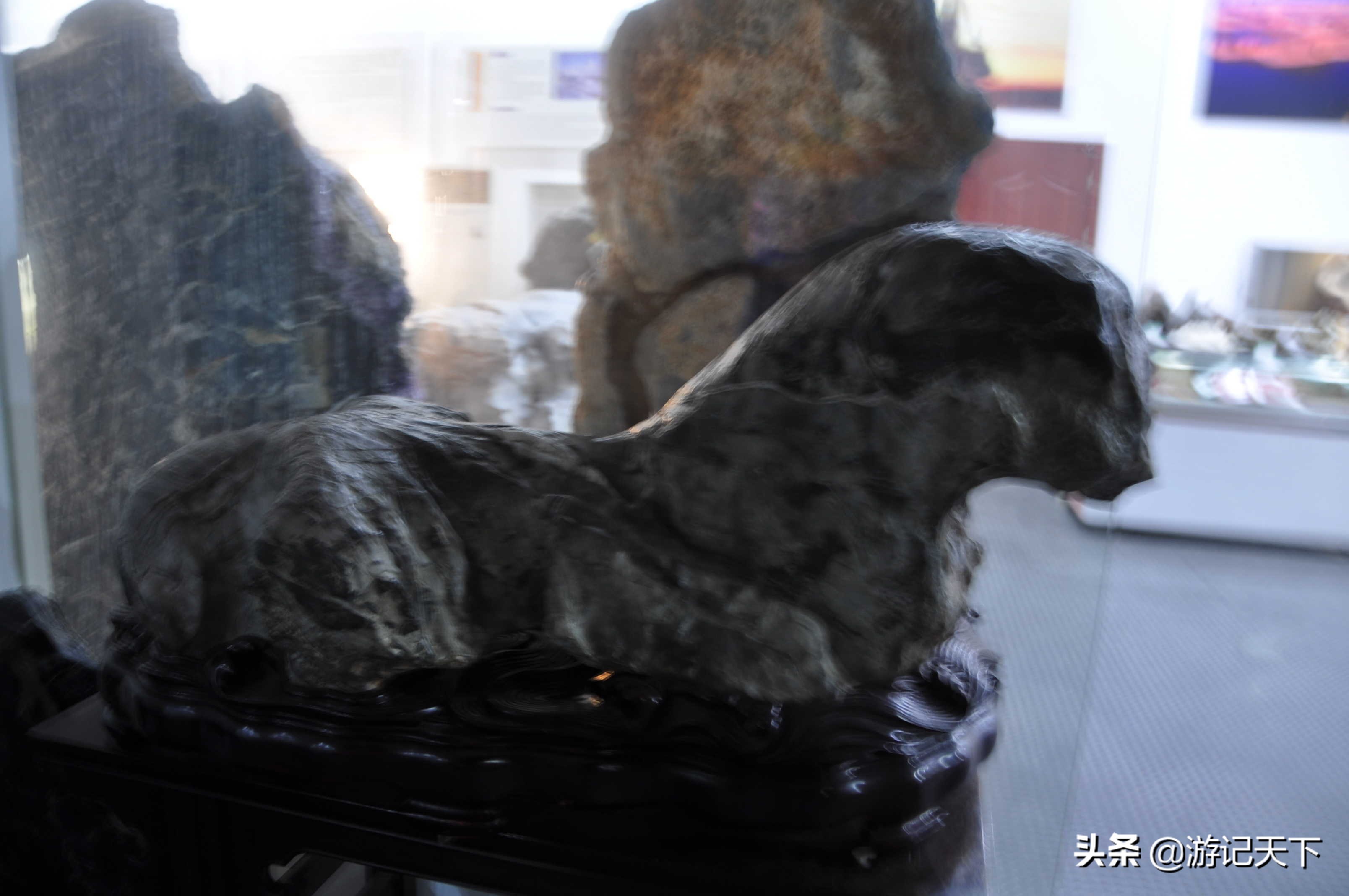 阿尼亚参观博物馆,上海地质科普馆游玩