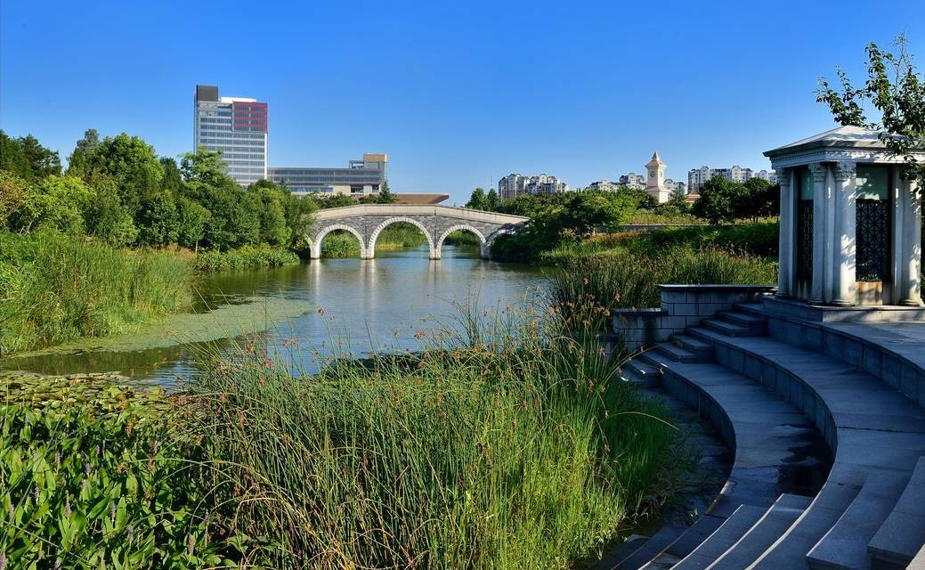 上海迪士尼春日,上海打卡的自然风景