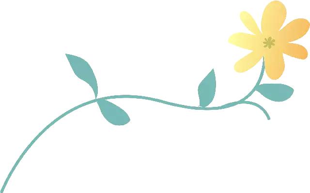 河南许昌二中教育集团,许昌市二中教育集团足球队