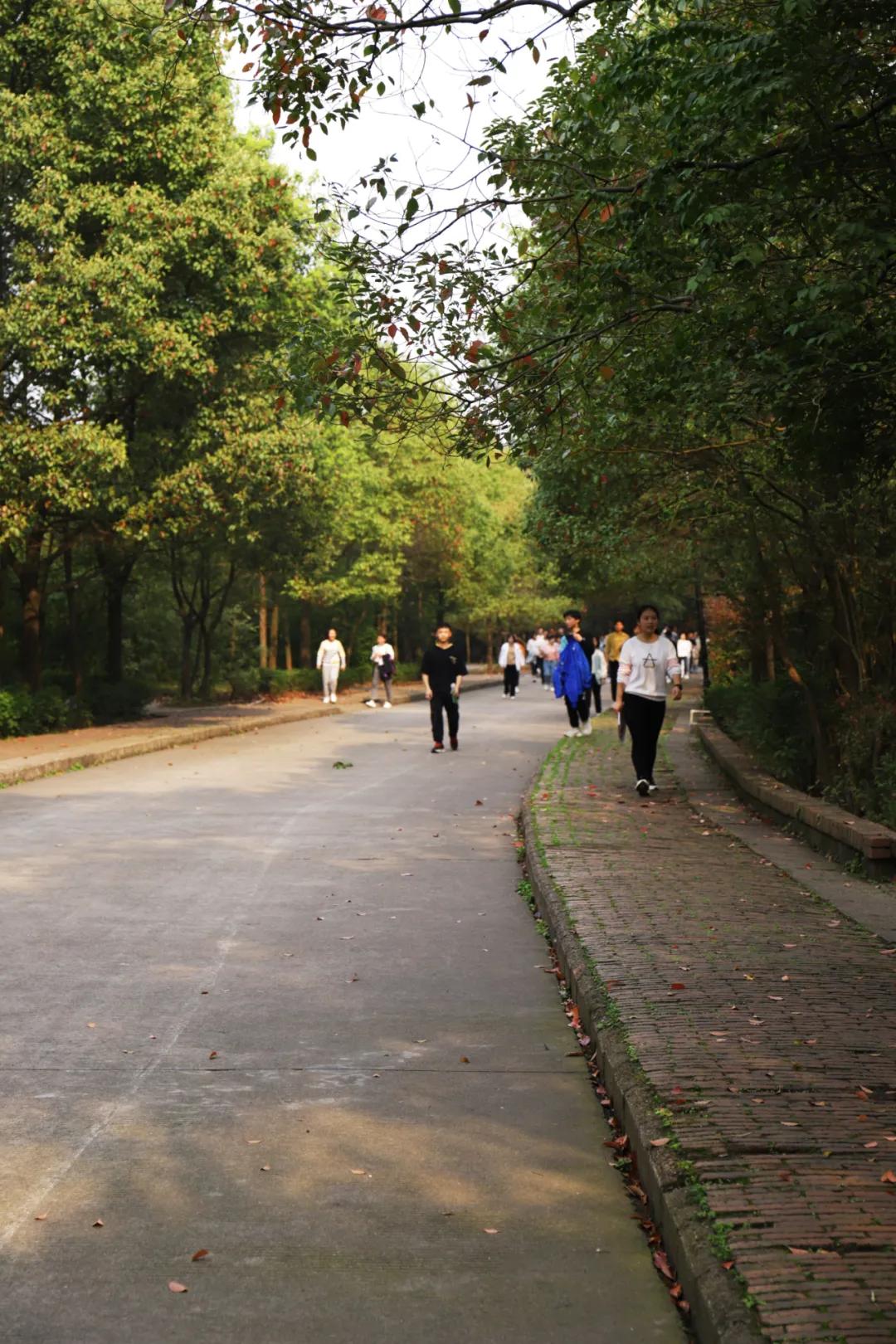 迎接校园里的百花齐放,教室窗外百花齐放