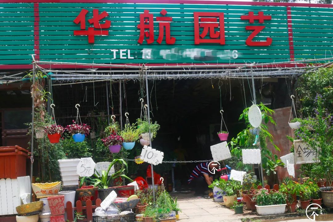 深圳布吉房租走势,布吉租房大概是什么价位