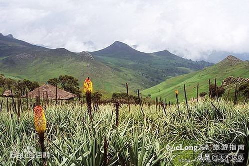 非洲史|亚的斯亚贝巴:埃塞俄比亚的首都,350万人,非洲最高城市