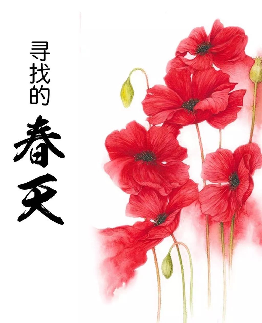 阴雨连绵久未睛，到室外寻找春天