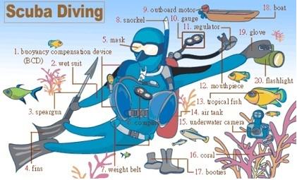 英语生活常见单词拼读启蒙,图解速记初中英语高频词汇