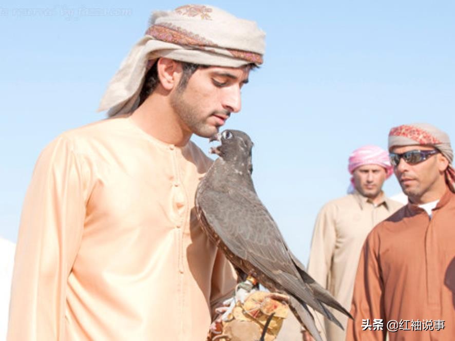 迪拜王子喜得龙凤胎,迪拜王储哈曼丹王子