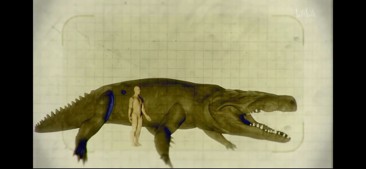 比沧龙都厉害的鳄鱼,淡水沧龙和鳄鱼竞争