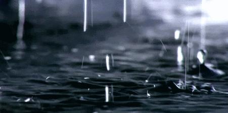 广东老百姓发来贺电什么意思,广东人民发来贺电是什么意思