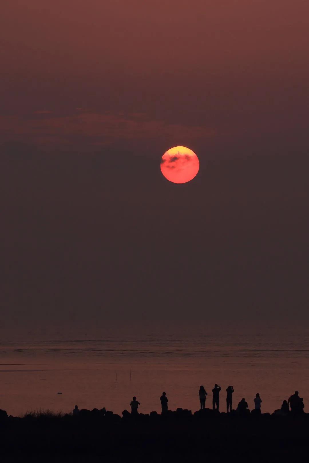 「第1期」2020年大美社群优秀作品回顾