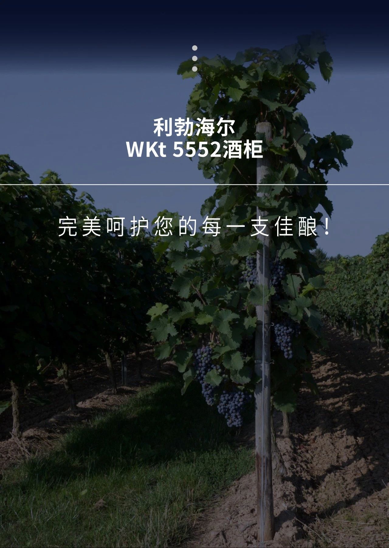 LIEBHERR利勃海尔|爸爸最爱的“宝藏”除了你，还有它