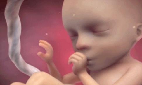 孕妇呼吸喉咙困难胎儿会缺氧吗,怀孕到七八个月小孩子会不会缺氧