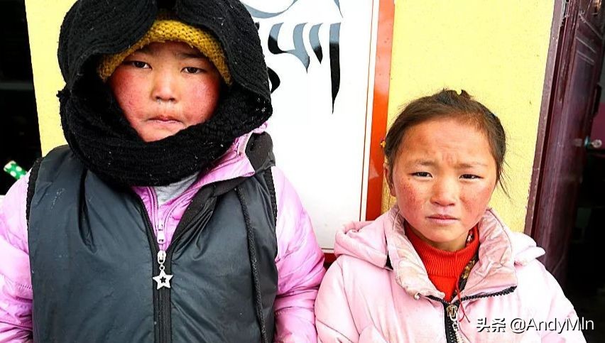 挖10万元1斤的虫草,却买不起一个玩具|高原孩子的残酷童年