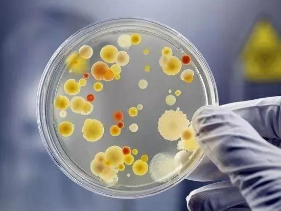 杀菌除味保鲜棒,德国冰箱保鲜除味棒