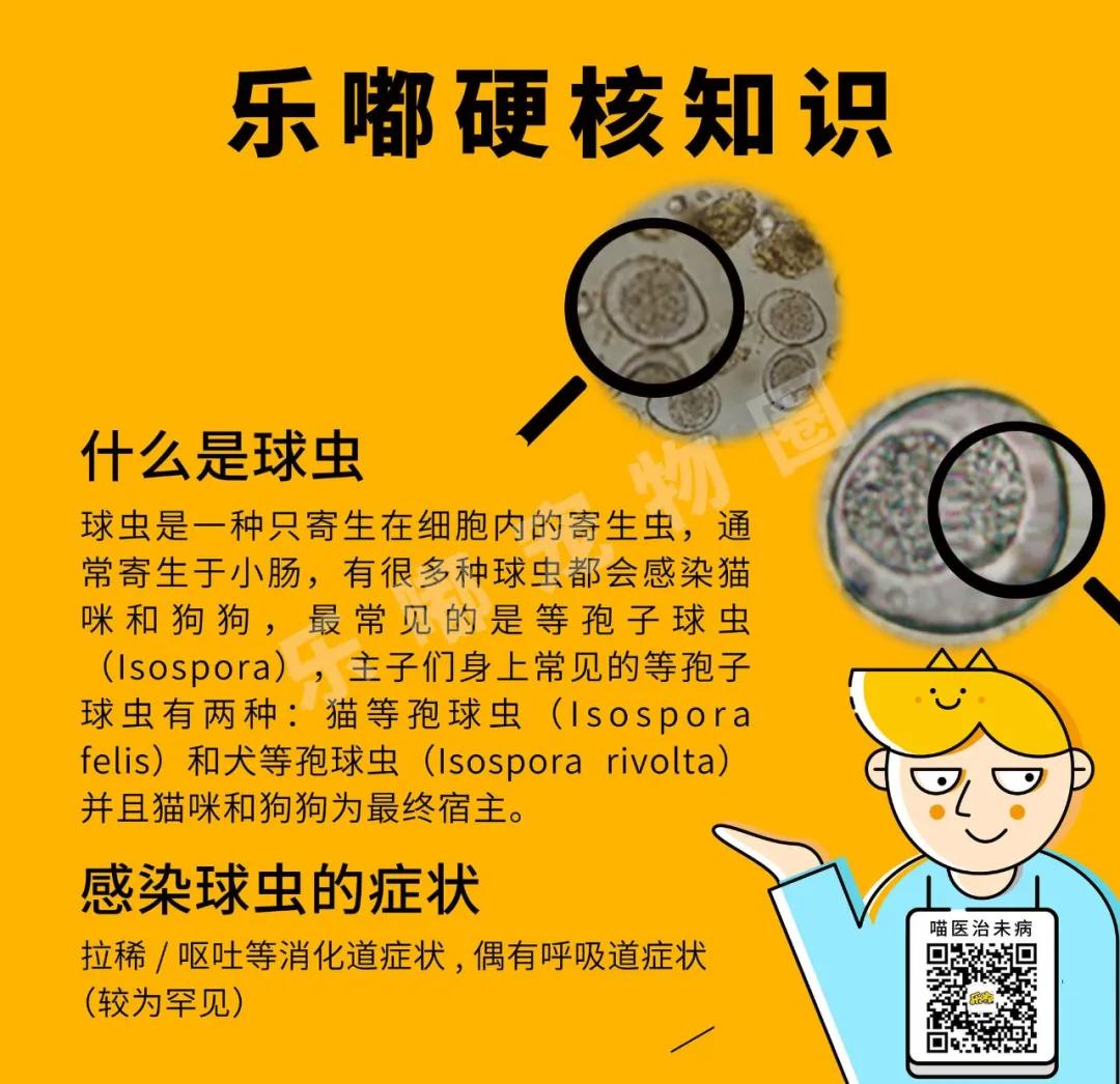 常规驱虫药都不能赶走哪些寄生虫,驱虫注意事项有哪些