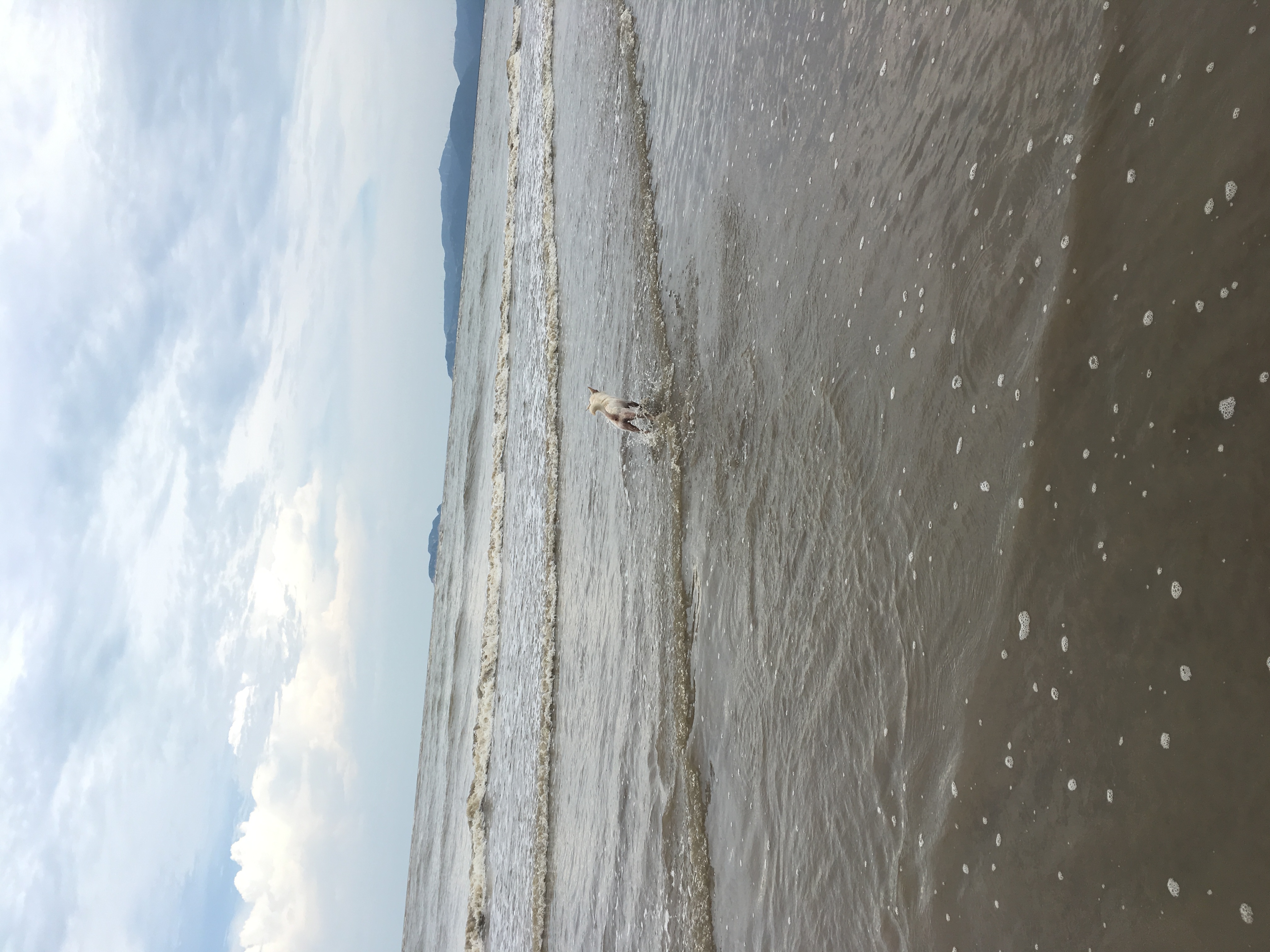 深圳沙滩还是珠海沙滩好一点,珠海阳光沙滩免费吗