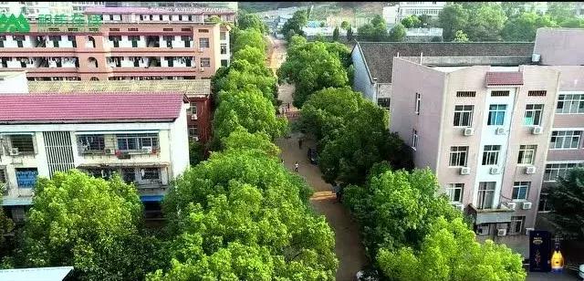 鍗拌薄绁佷笢鑸媿,鍗拌薄绁佷笢褰掗槼