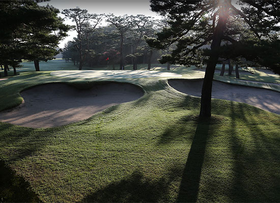 高尔夫球球场规则,高尔夫球标准比赛场地