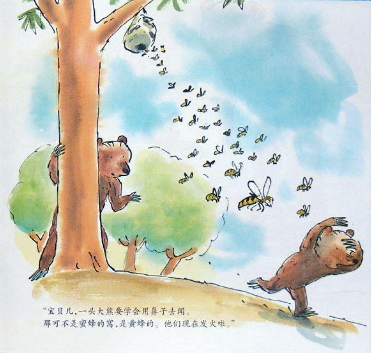 绘本小熊和最好的爸爸聚会,绘本故事小熊和最好的爸爸