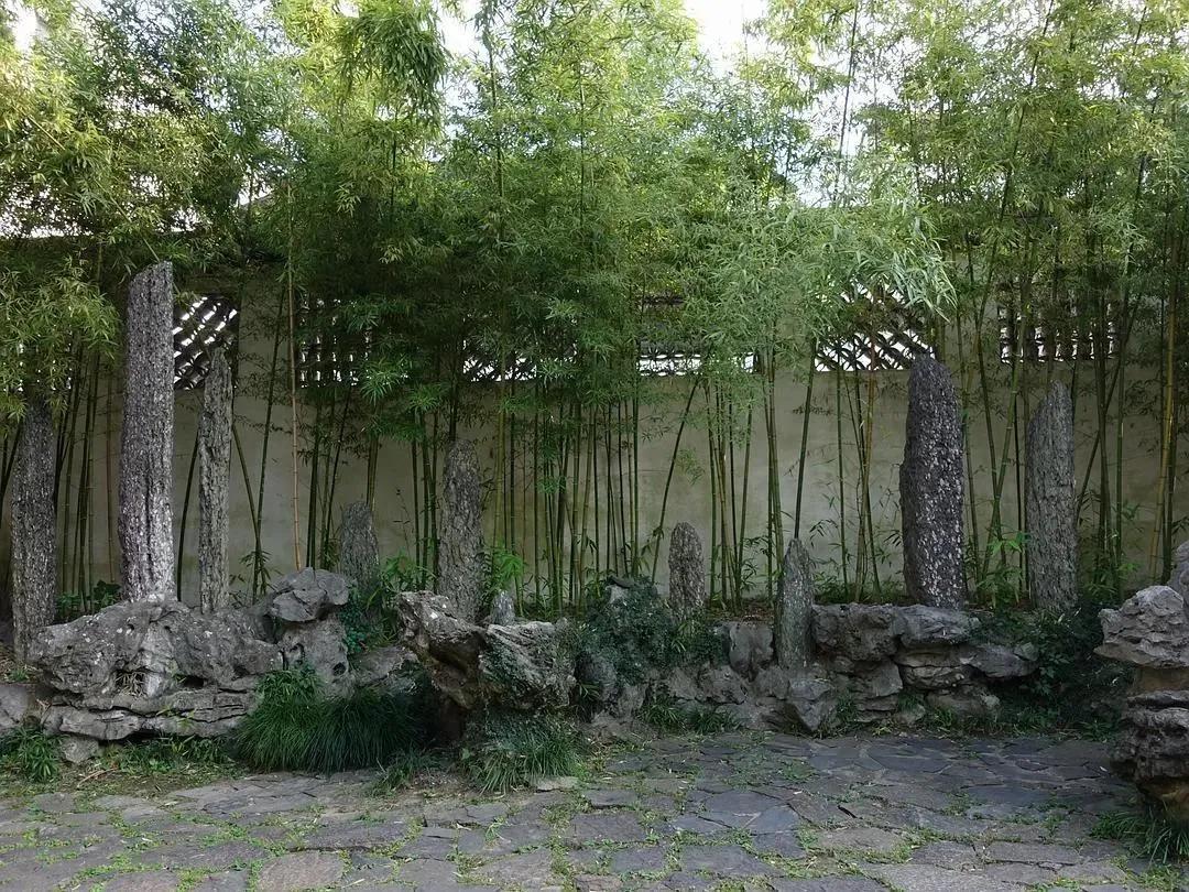 一花一木万般皆有情,一花一木皆是景歌名