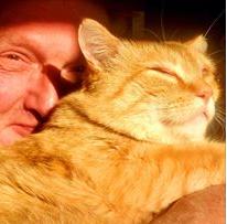 货车司机收养流浪狗后续,司机收养流浪猫一人一车三只猫