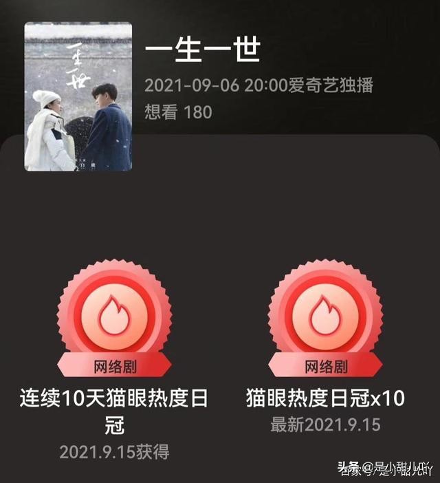 一生一世的评价,一生一世电视剧的深度解析