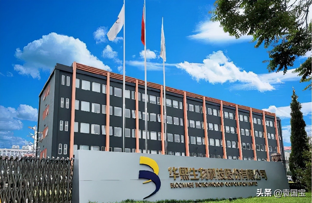 敷尔佳是一家什么公司,一片面膜