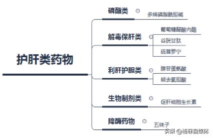 海思科2024上市新药,海思科技上市