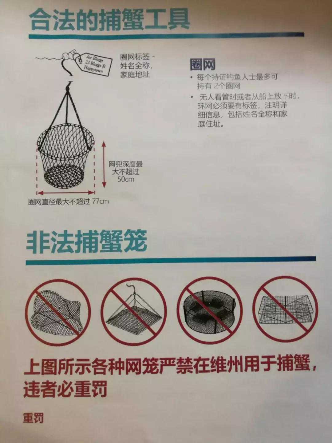 墨尔本捕蟹,墨尔本抓帝王蟹