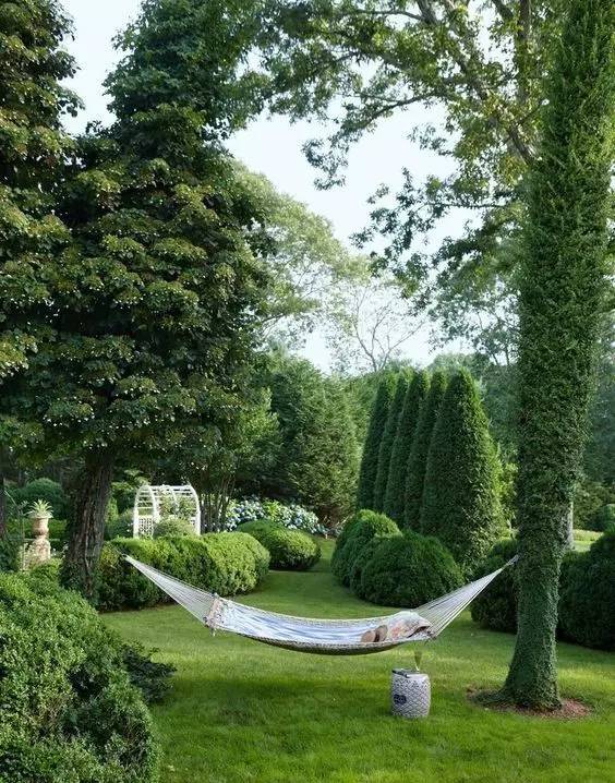 花园草地打理,花园草坪养护