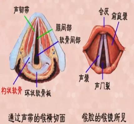 喉部病变做核磁还是ct,耳鼻喉科常见病影像诊断