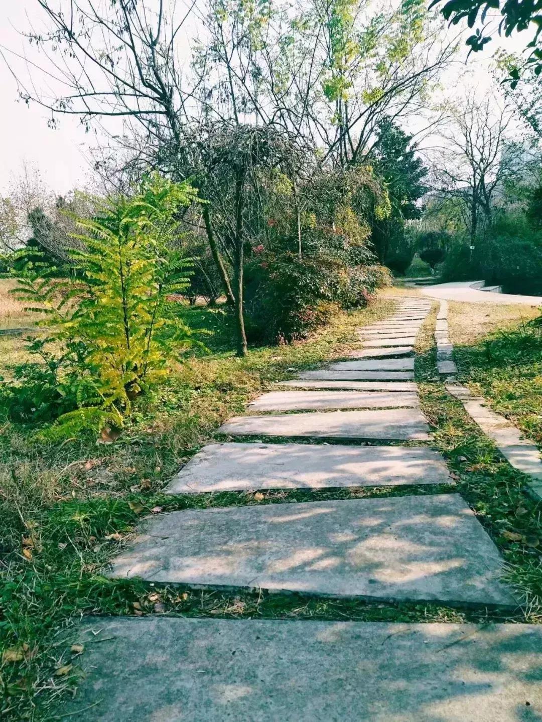 安财,我走了,请别为我哭泣