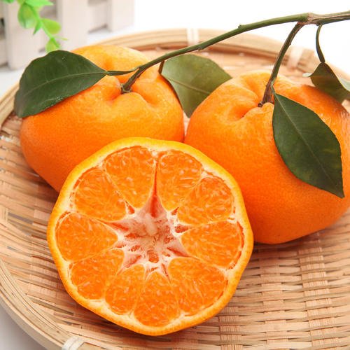 这5种四川特色美食你知道几个,四川特产麻辣下饭菜开胃菜猪尾巴