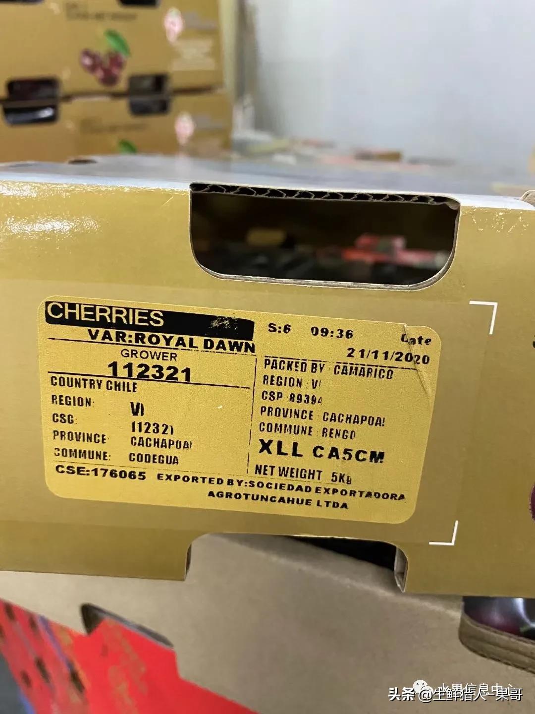 车厘子包装等级划分,车厘子标签各种日期形式