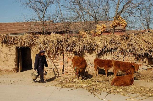 为什么农家乐这么难开,为什么现在农家乐生意难做