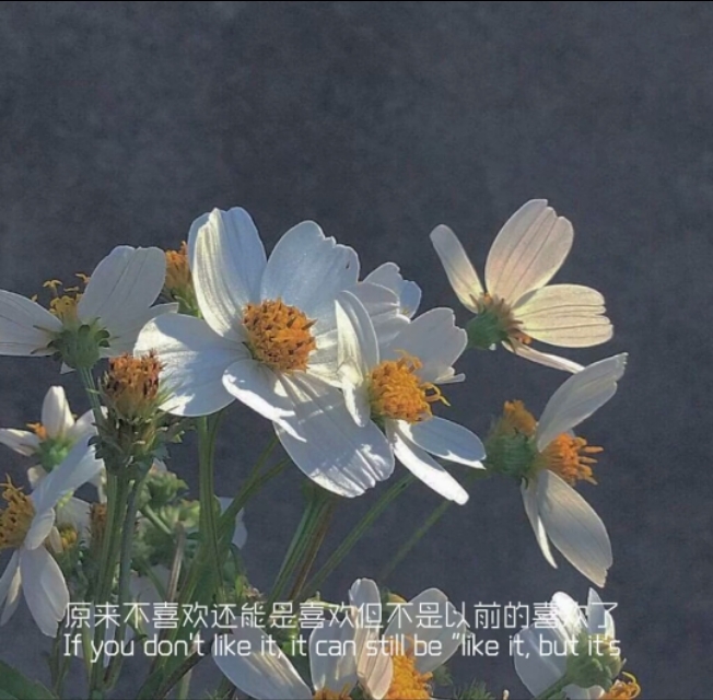 扎心到哭的句子图片,男人委屈到哭的句子