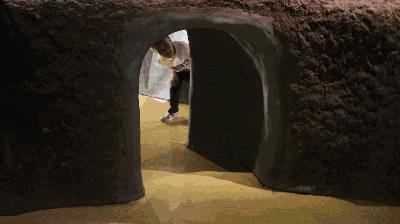 合肥动物园值得看的地方,合肥最好玩的动物园是哪