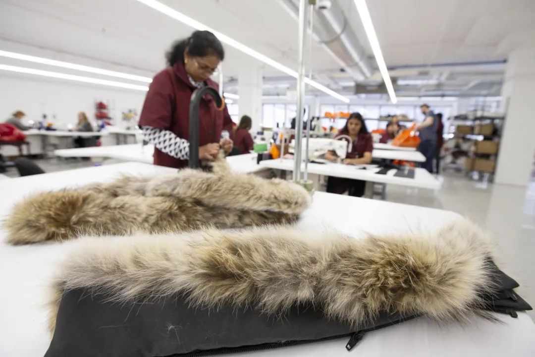 加拿大鹅五级防寒真的吗,加拿大鹅虚假宣传被罚