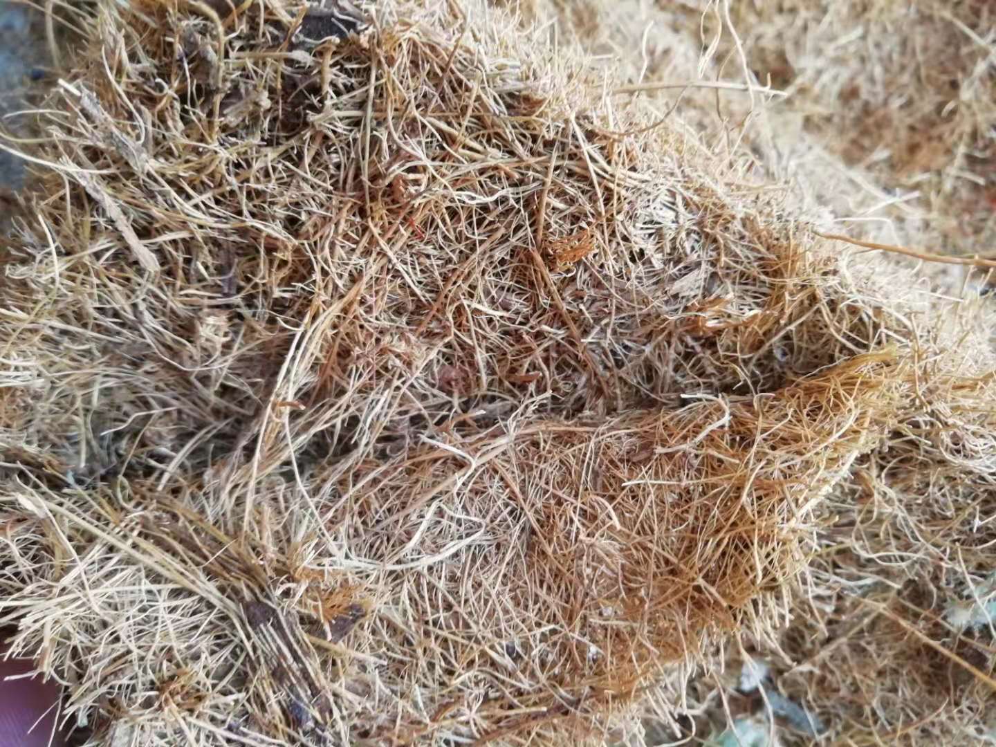 床垫哪种品牌好用又实惠,床垫要选什么床垫比较好呢