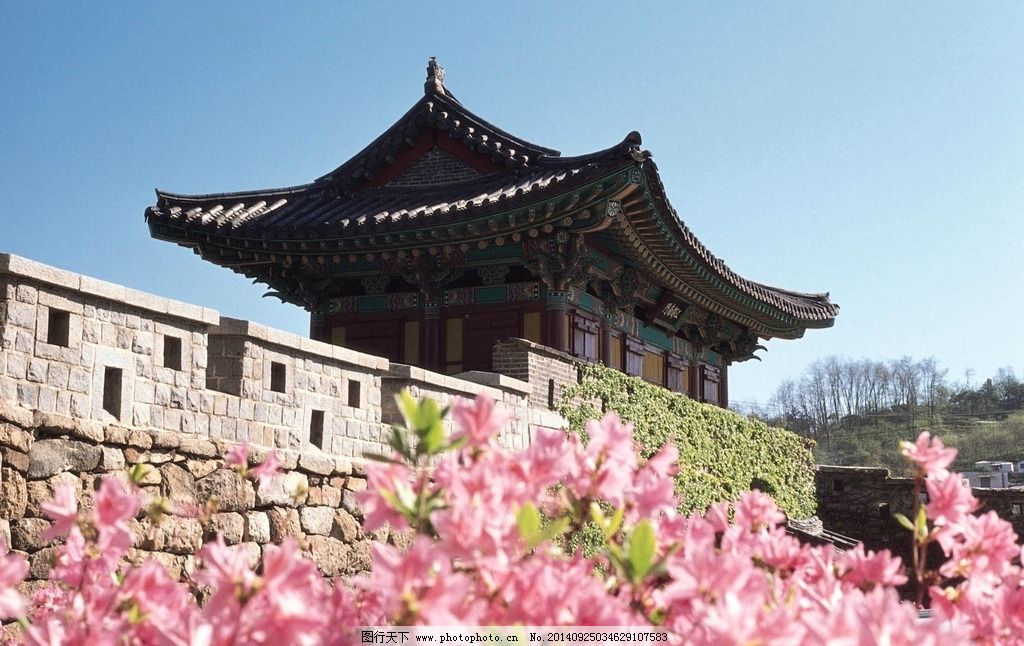 中国大妈挤爆韩国商铺,疯狂购买商品,但老板却左右为难