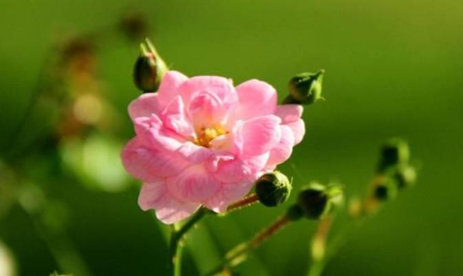 如果你爱上了一个有家庭的男人，要学会如此做