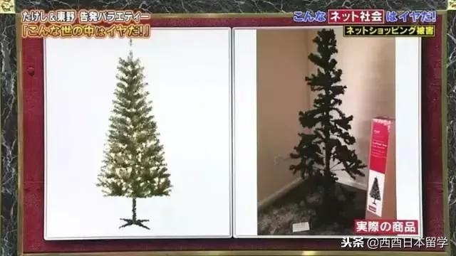 日本吐槽中国综艺节目,日本综艺吐槽中国