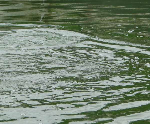 广东钓土鲮鱼用多大的子线和钩子,南宁用什么饵料钓土鲮
